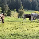 Nr 19, Alpenappartementhaus, Oberstaufen-steibis, Allgaeu,