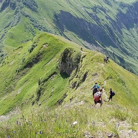 Nr 19, Alpenappartementhaus, Oberstaufen-steibis, Allgäu Apartment *