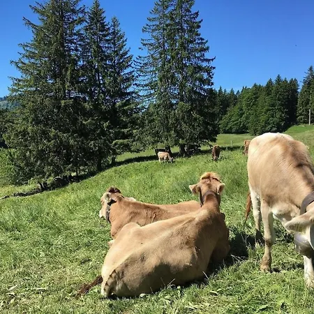 Nr 19, Alpenappartementhaus, Oberstaufen-steibis, Allgaeu, Apartment