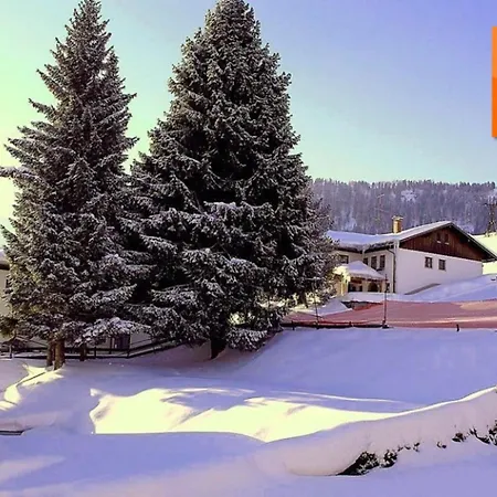 Nr 19, Alpenappartementhaus, Oberstaufen-steibis, Allgaeu, Apartment *