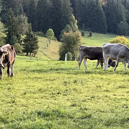 Nr 19, Alpenappartementhaus, Oberstaufen-steibis, Allgaeu,