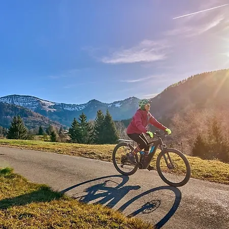 Nr 19, Alpenappartementhaus, Oberstaufen-steibis, Allgaeu,
