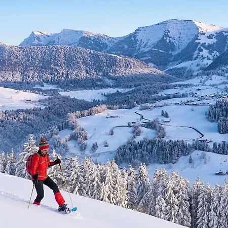 Nr 19, Alpenappartementhaus, Oberstaufen-steibis, Allgaeu, Apartamento