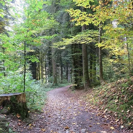 Nr 19, Alpenappartementhaus, Oberstaufen-steibis, Allgaeu, * Oberstaufen
